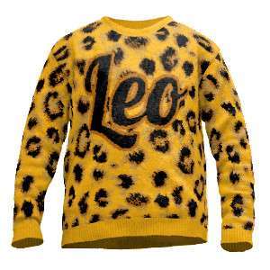 Bild von pullover leo leopardjpg | fotogeschenkideende 🎀 Geschenke mit eigenem Foto Motiv o Text