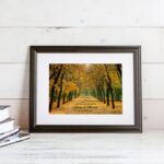 Bild von herz im baum herbstbild ihjpg | fotogeschenkideende 🎀 Geschenke mit eigenem Foto Motiv o Text