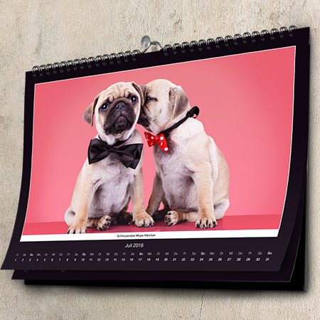 Bild von kalender mops fotokalenderjpg | fotogeschenkideende 🎀 Geschenke mit eigenem Foto Motiv o Text